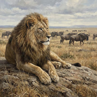 African Wildlife Collection