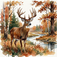 Whitetail Deer Wall Art Collection