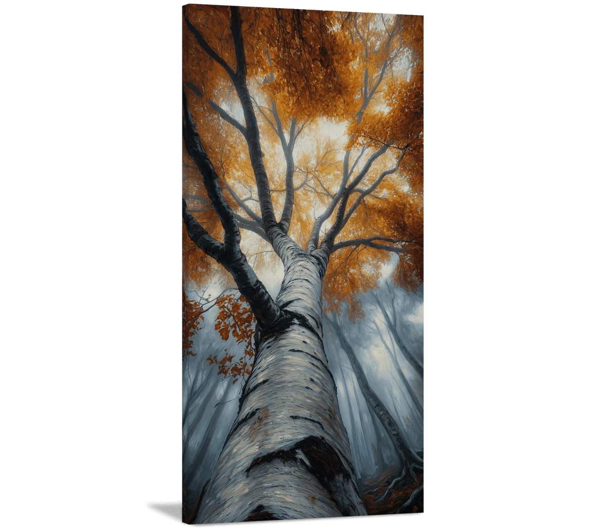 The Birch Cathedral