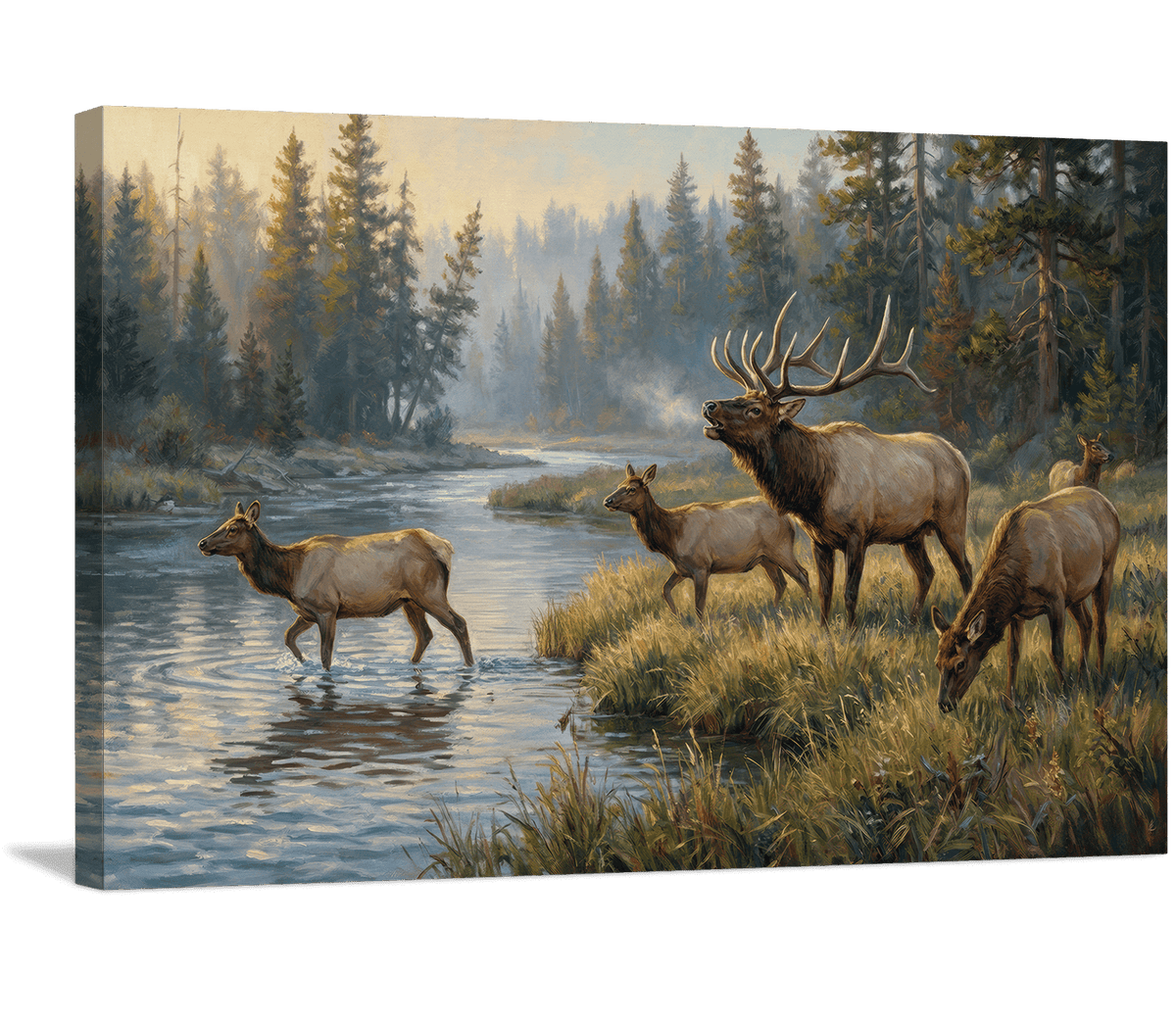 Morning at the River's Edge