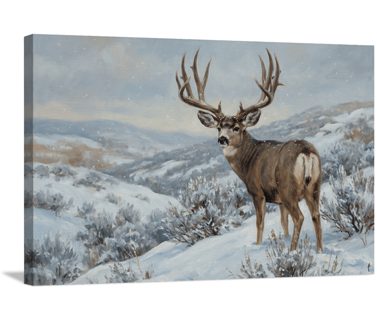 Snowfall Mule Deer on the Slope