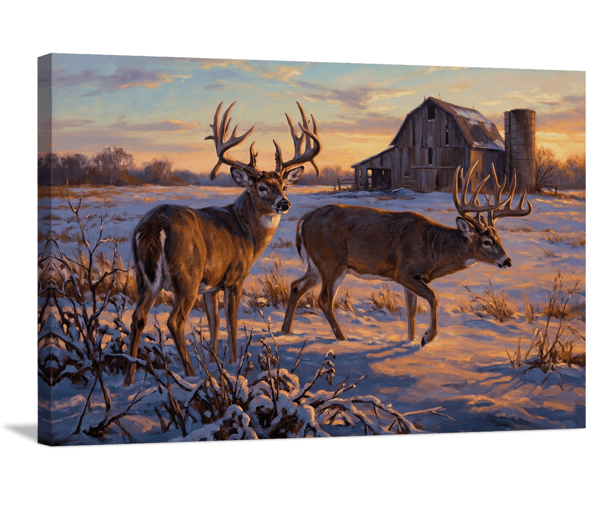 Evening Watch on Winter Fields
