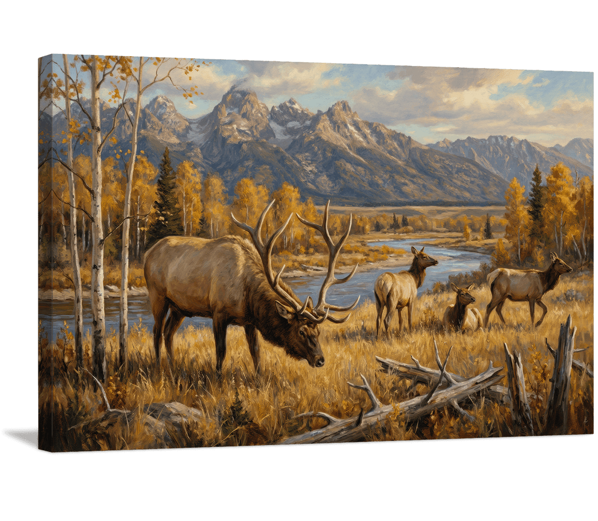 Teton River Valley