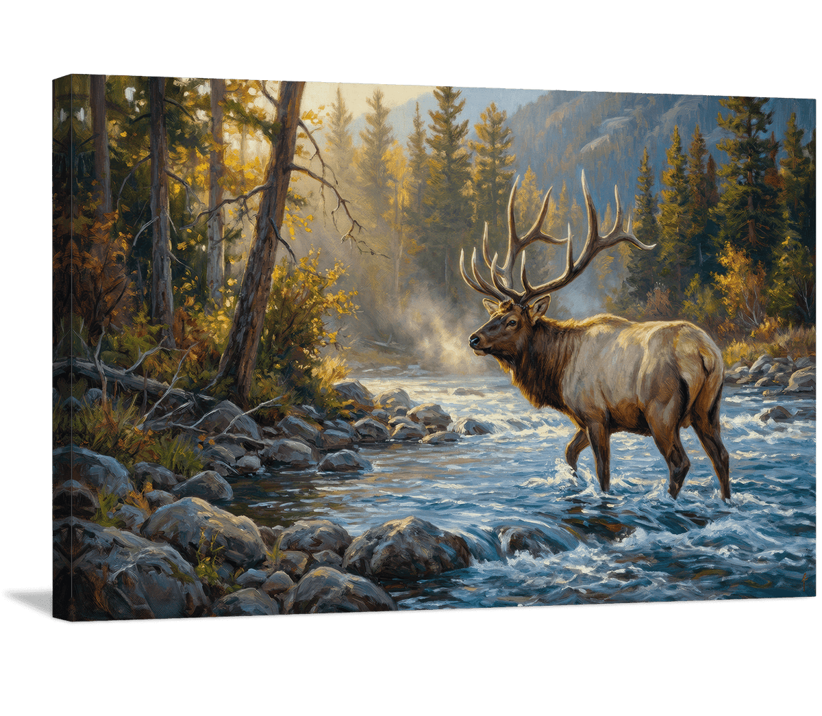 Morning Stream Crossing