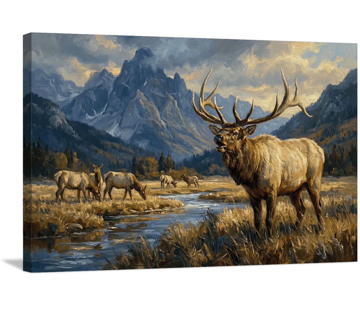 Mountain Valley King