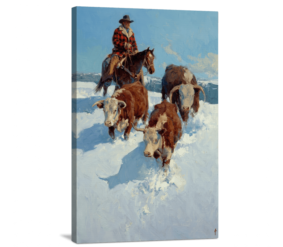 Moving Cattle Through the Belly-Deep Snow