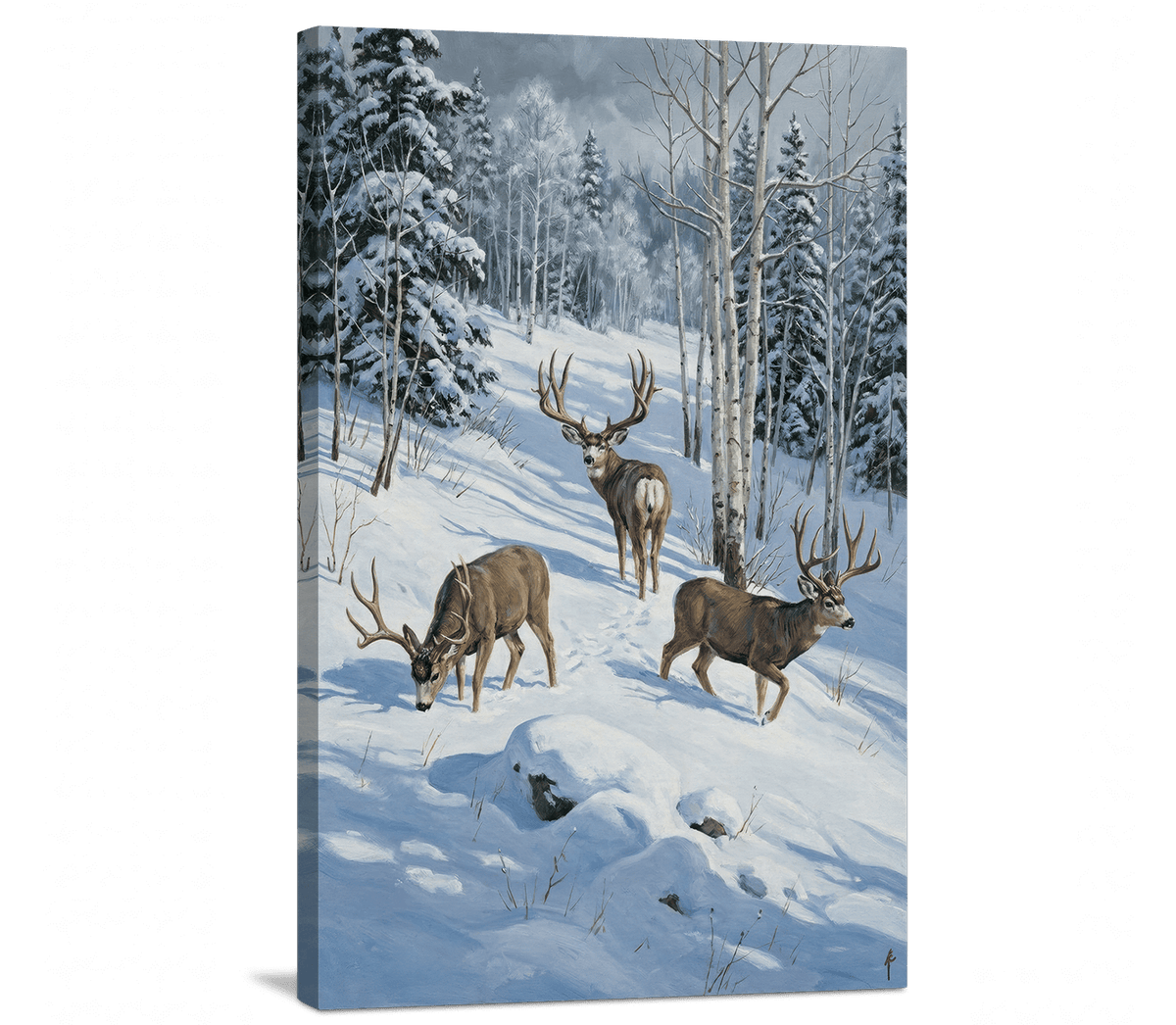 Winter Trail in the White Forest
