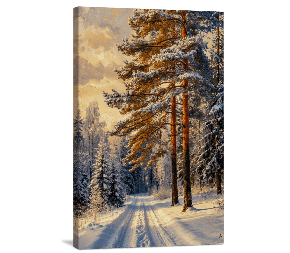 The Pine Road in Winter Gold
