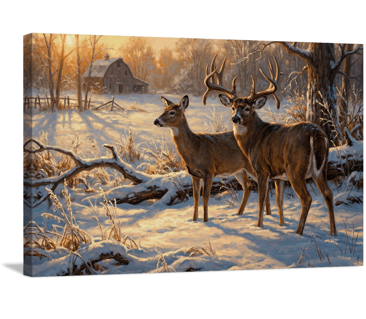 Winter's Warm Glow