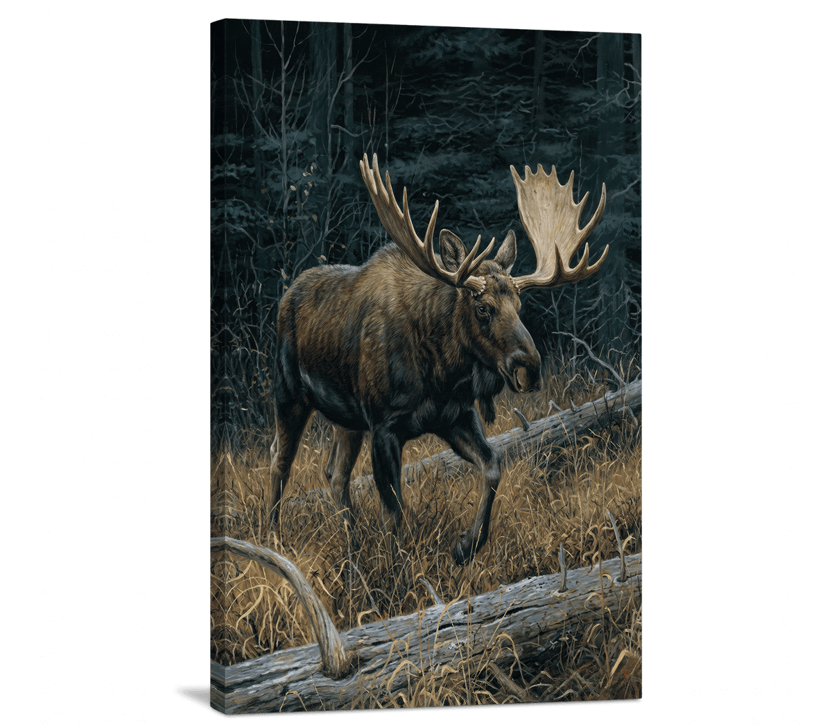 Dark Timber King