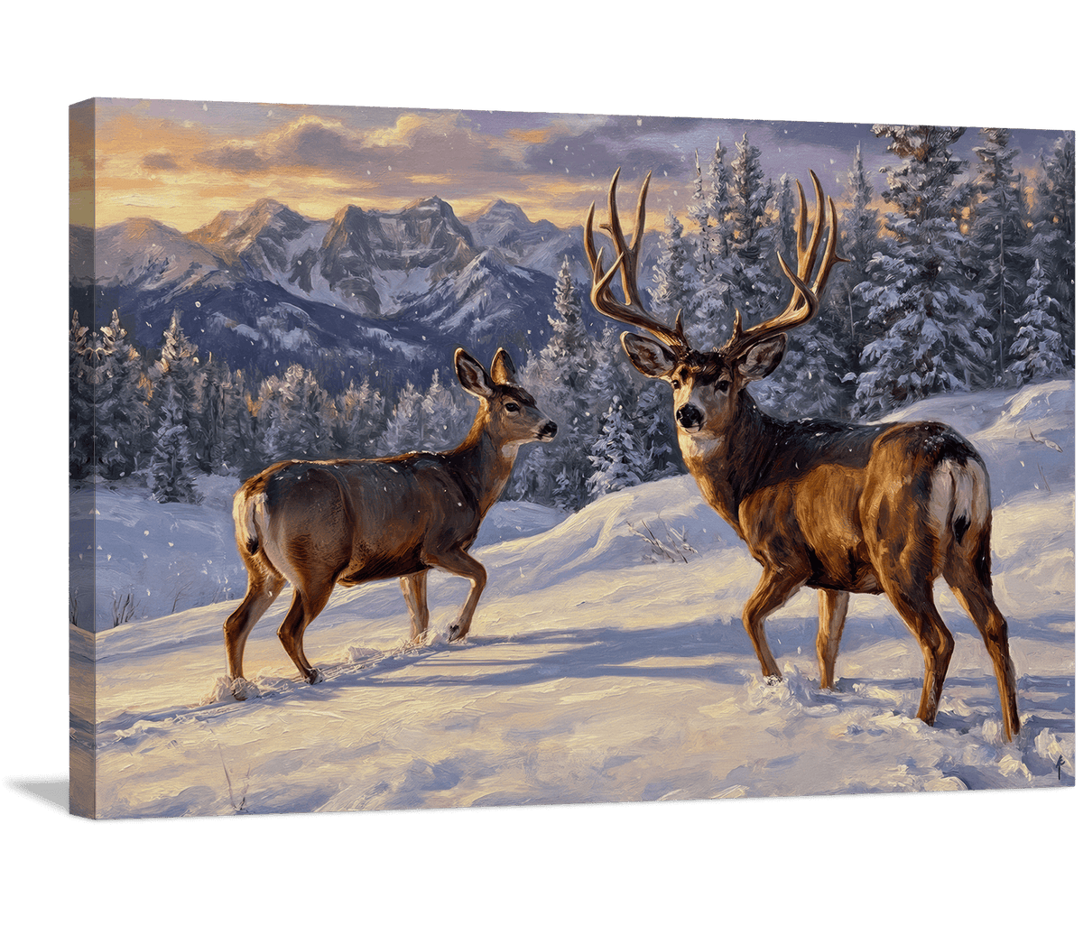 Mule Deer in the High Country