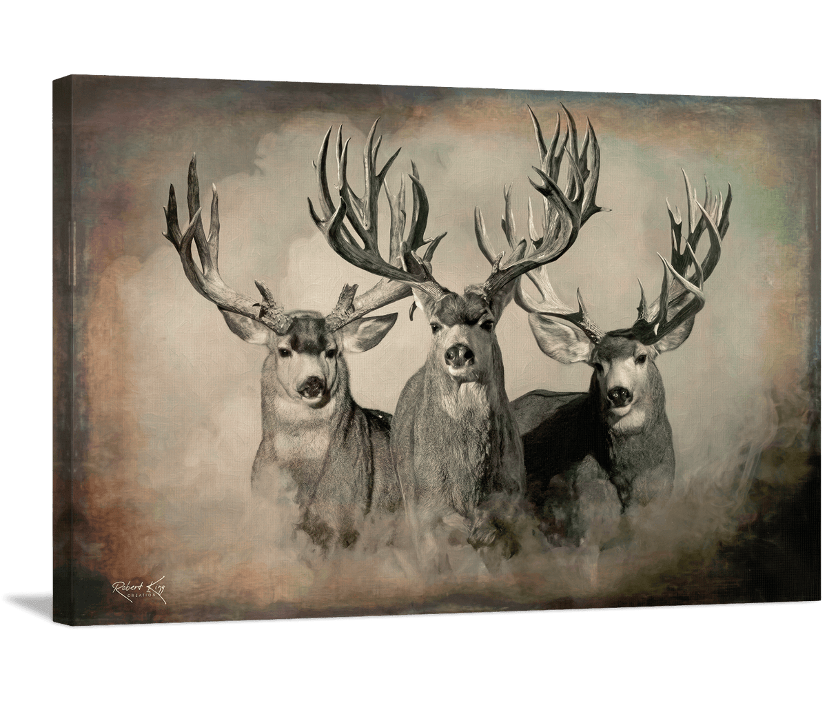 The Wild Bunch_Dark