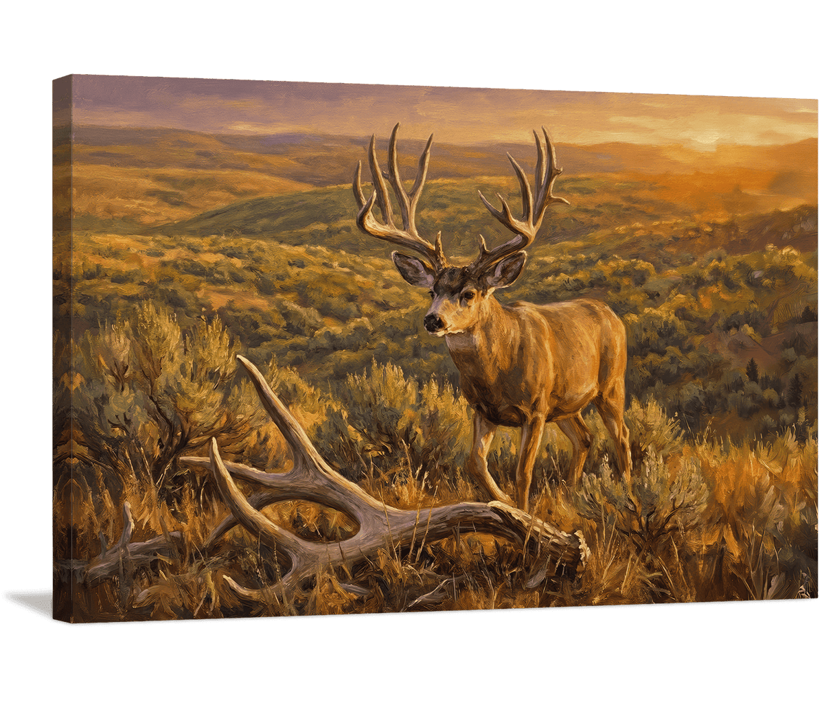 Legacy and Life on the Plains