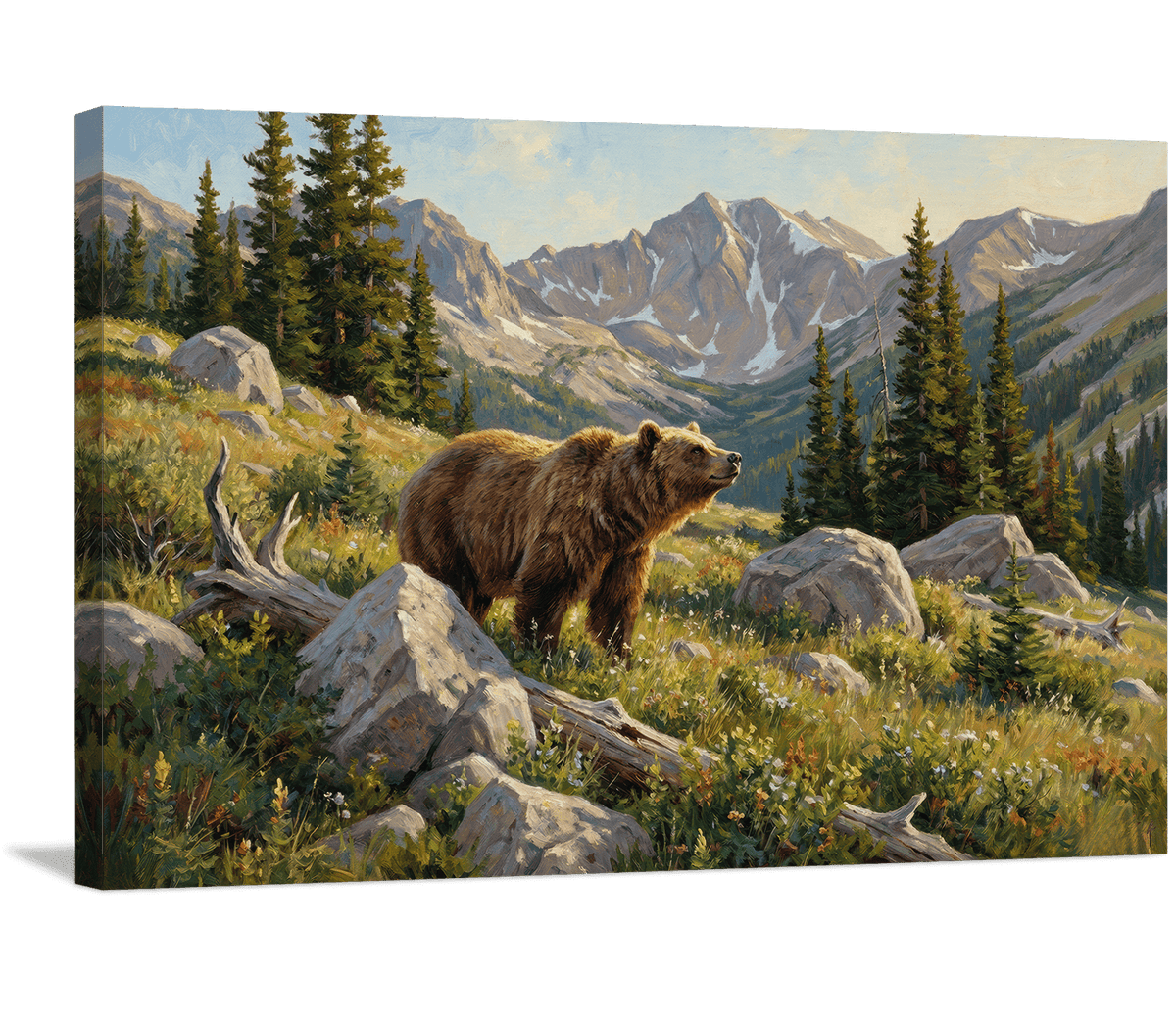 Grizzly in Alpine Meadow