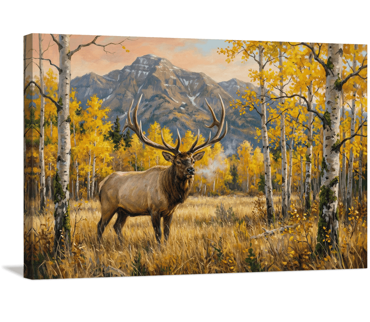 Peak Season Portrait