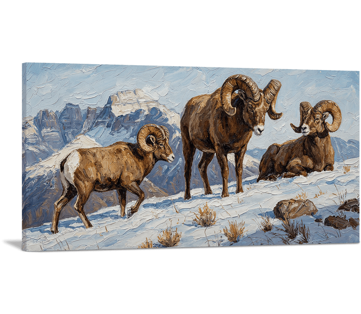 Rams of the High Ridge