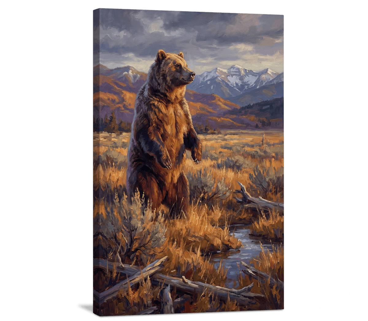 Grizzly in Evening Light