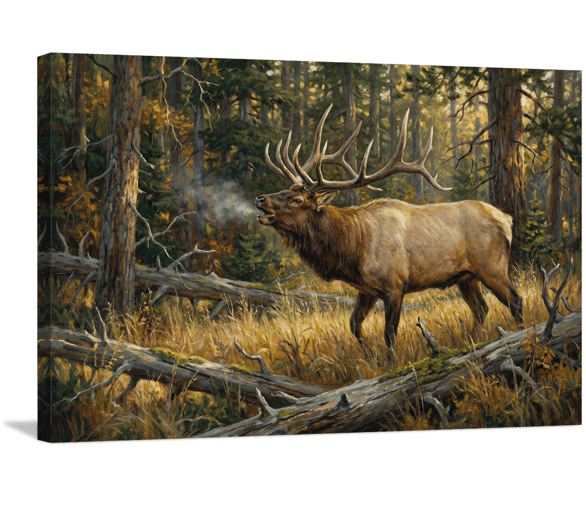 Forest Challenger