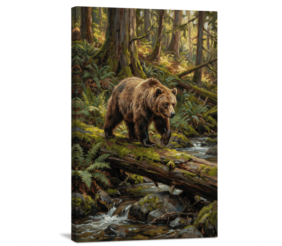Bear in the Old Growth