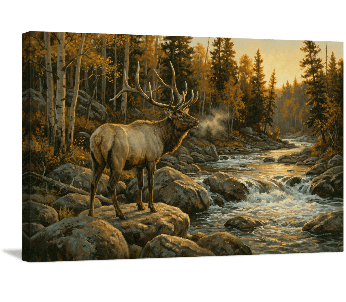Dawn at the Rapids