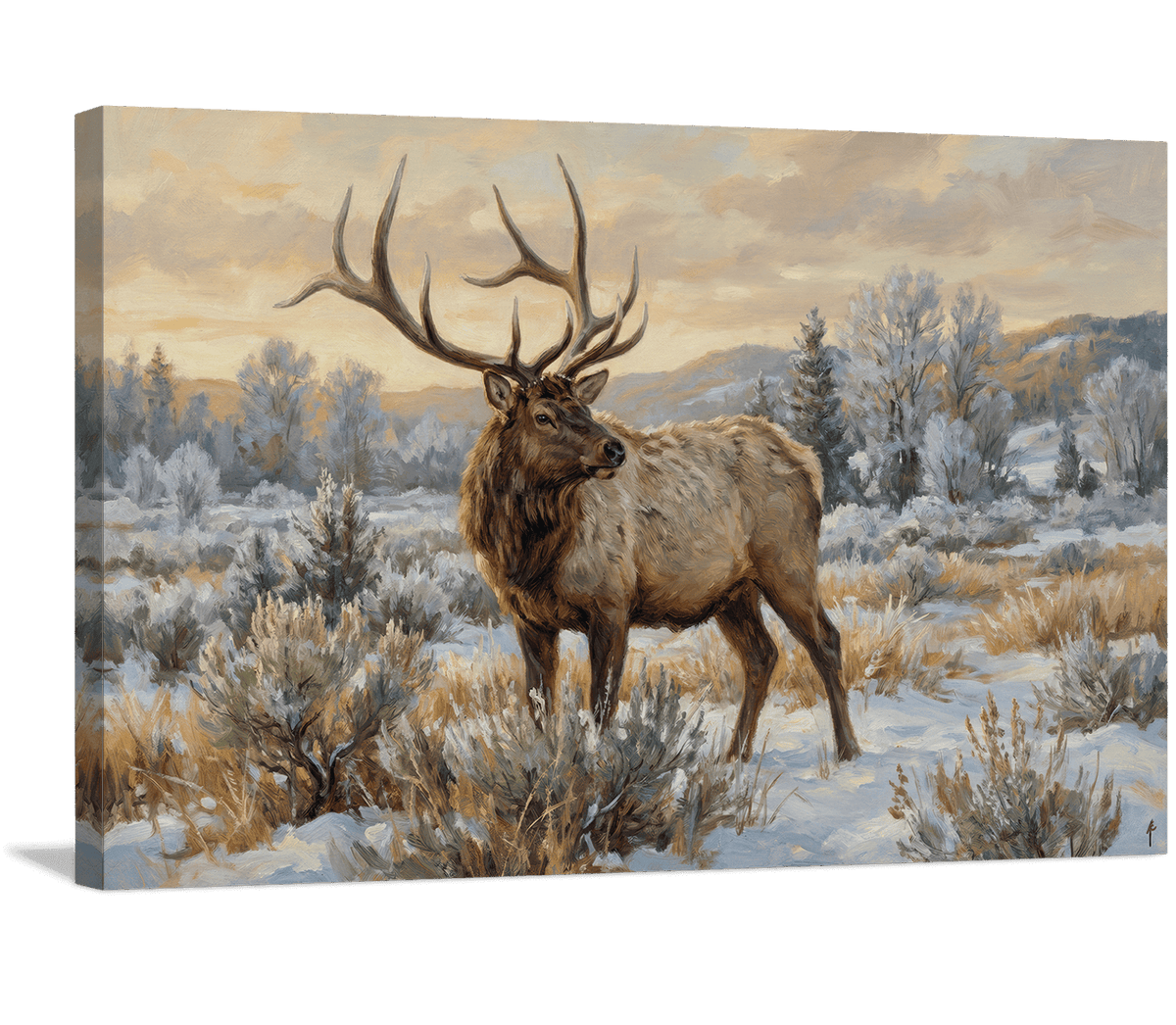 Winter Watcher