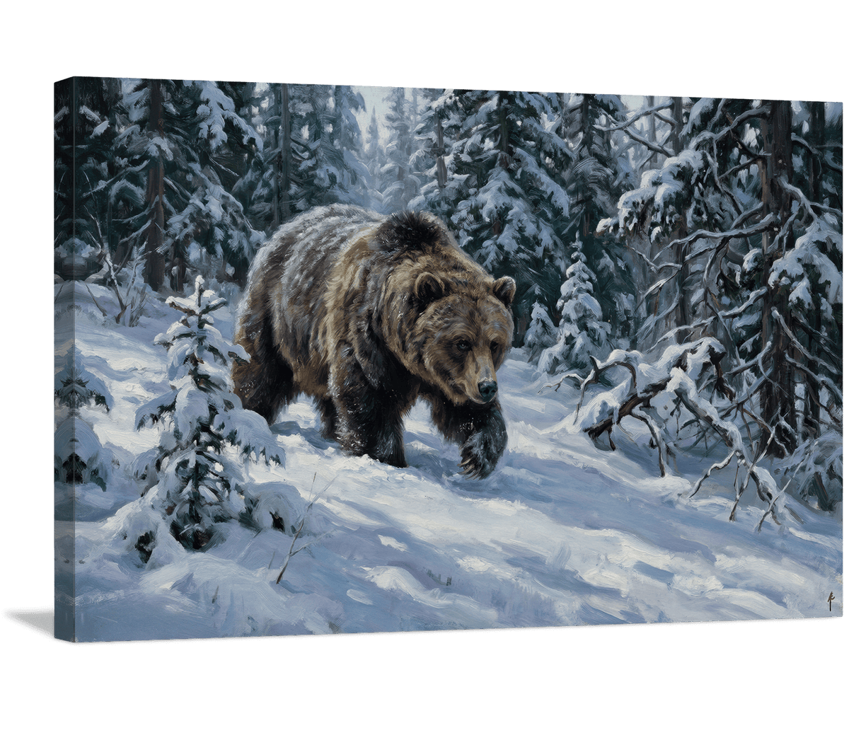 Grizzly in Fresh Snow
