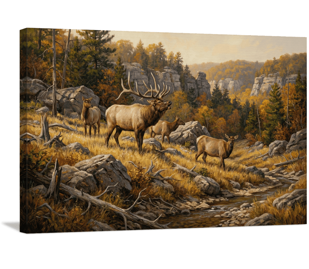 Rocky Mountain Sanctuary