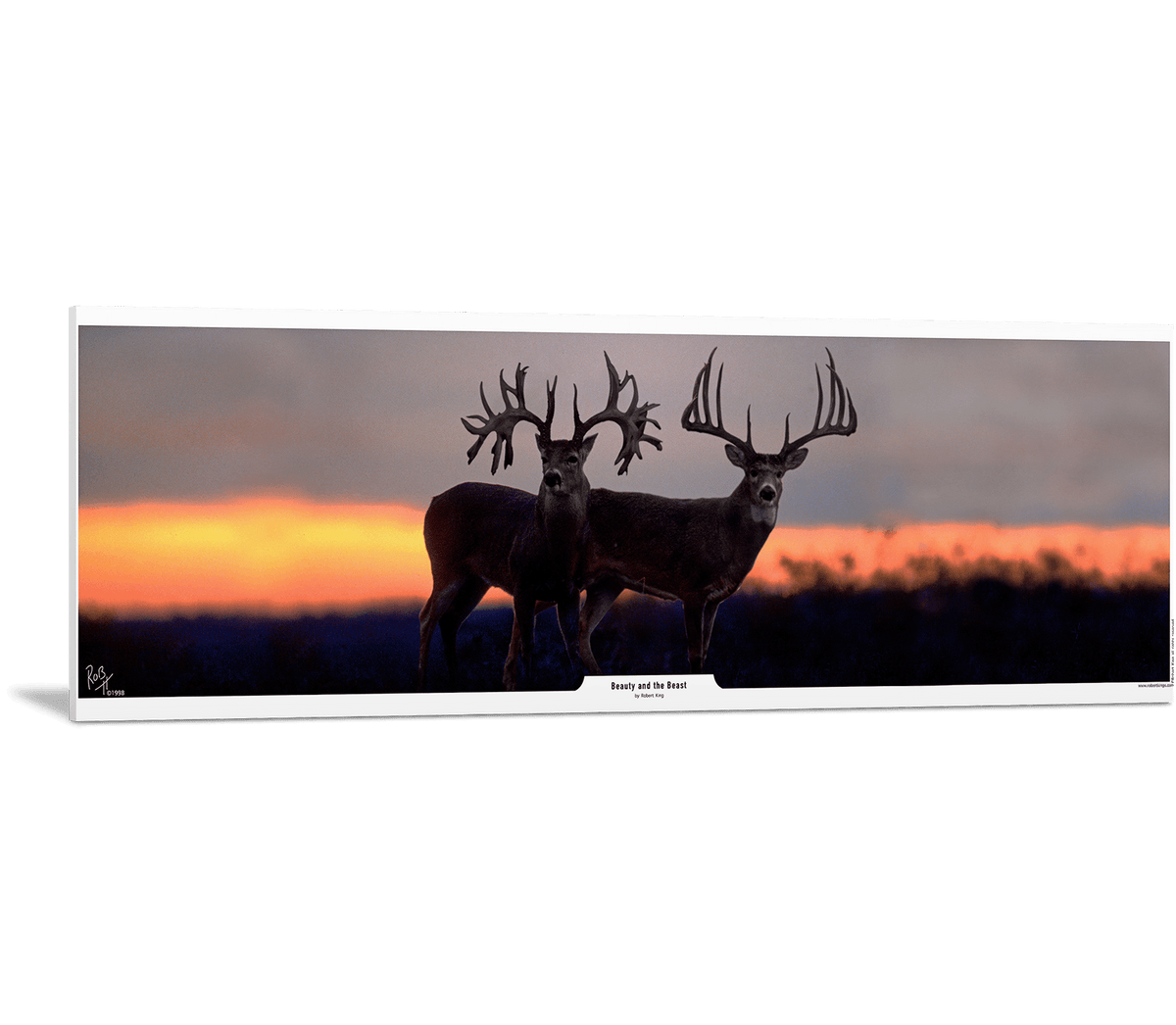 Beauty and the Beast