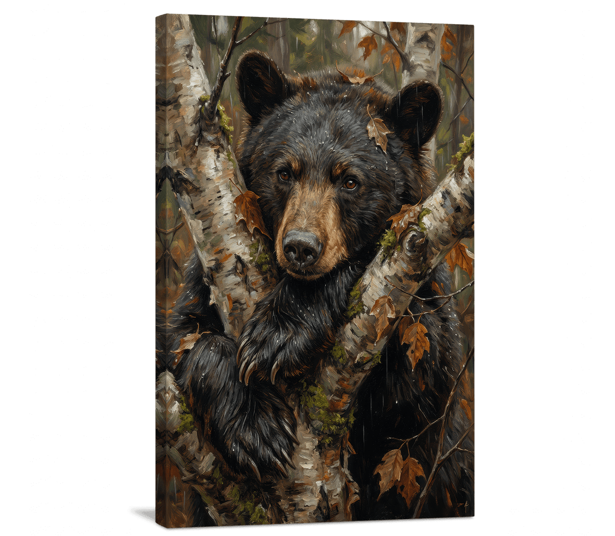 Black Bear in the Birches