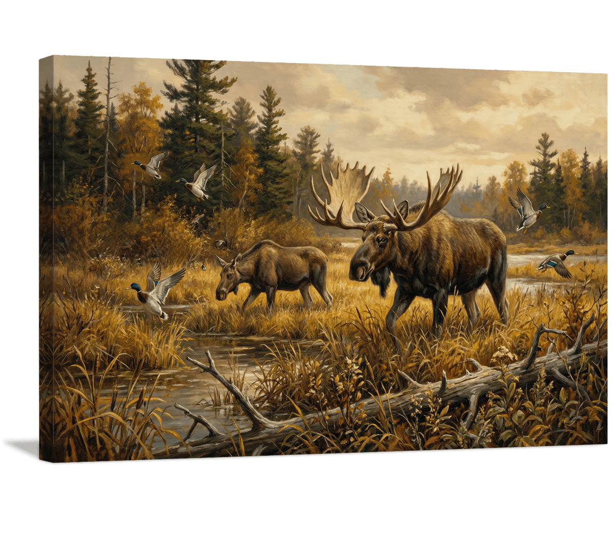 Wings and Antlers