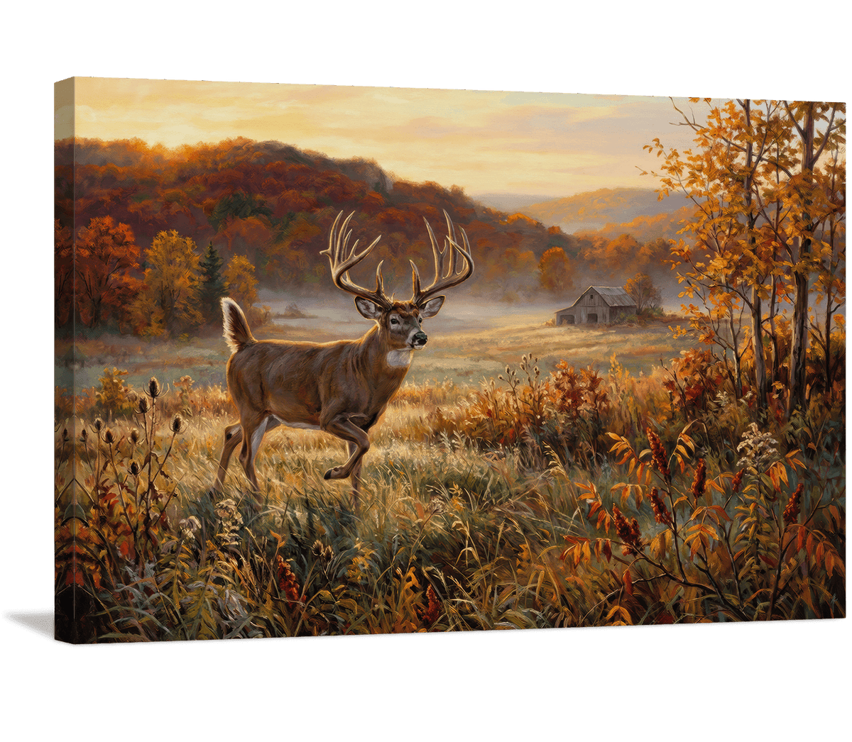 Whitetail King at Dawn