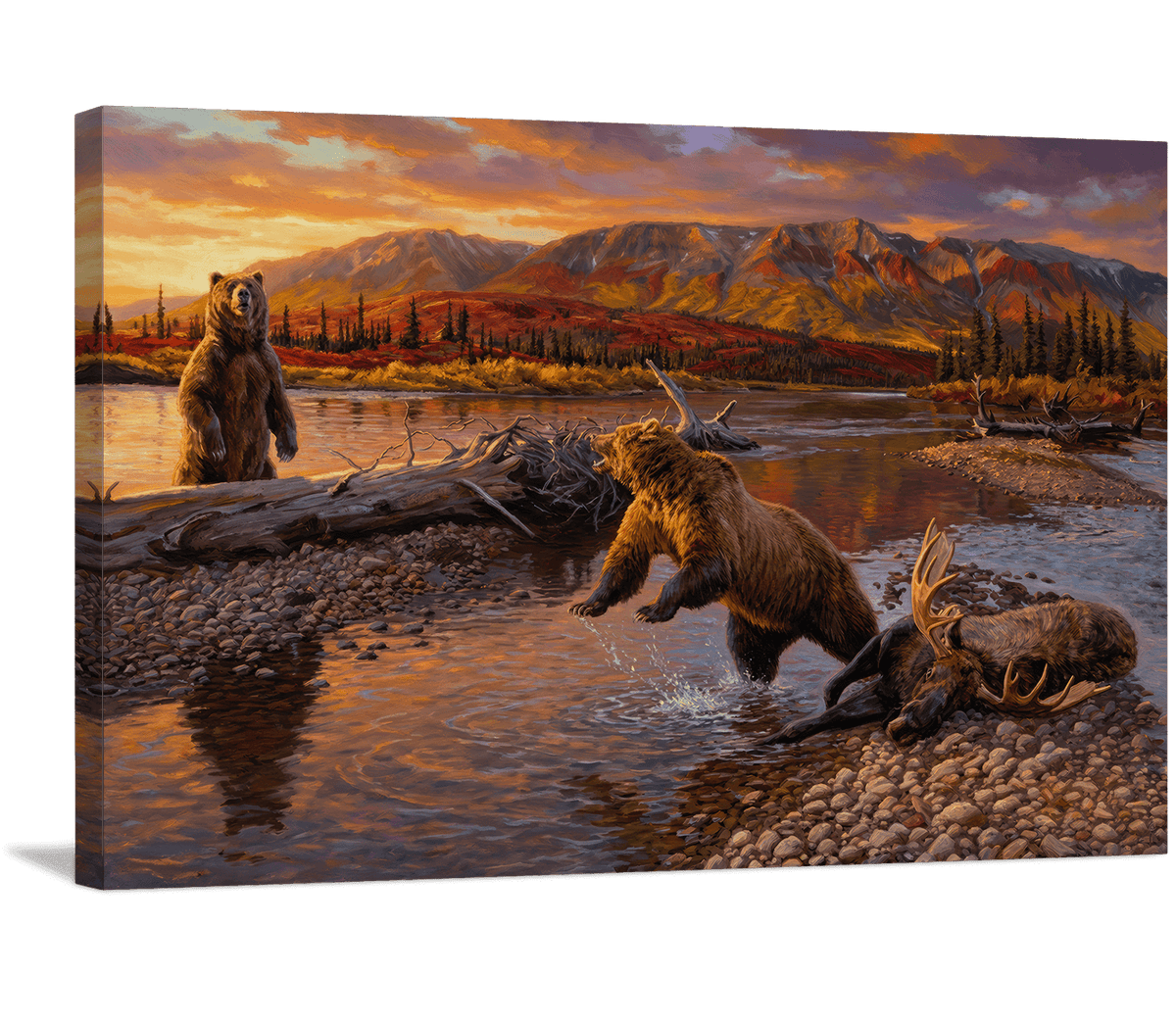 Grizzlies and the Moose Kill