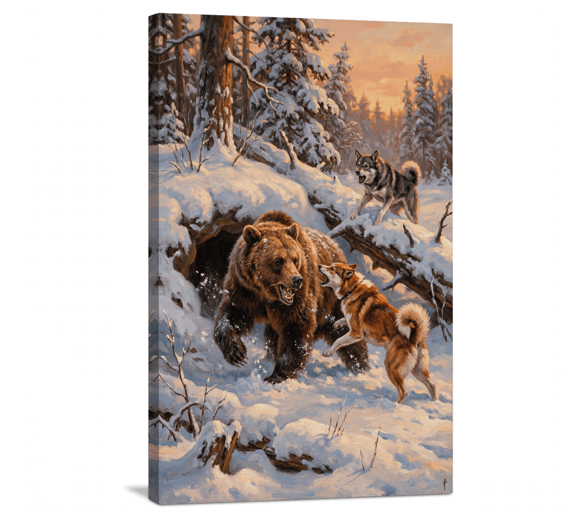 Brave Dogs vs Grizzly