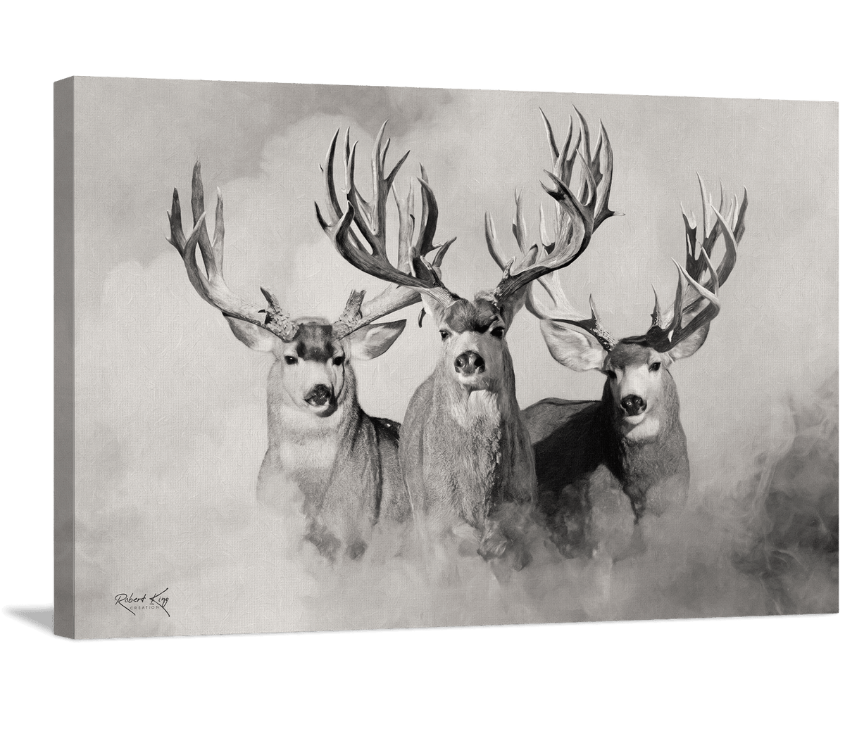 The Wild Bunch_Light