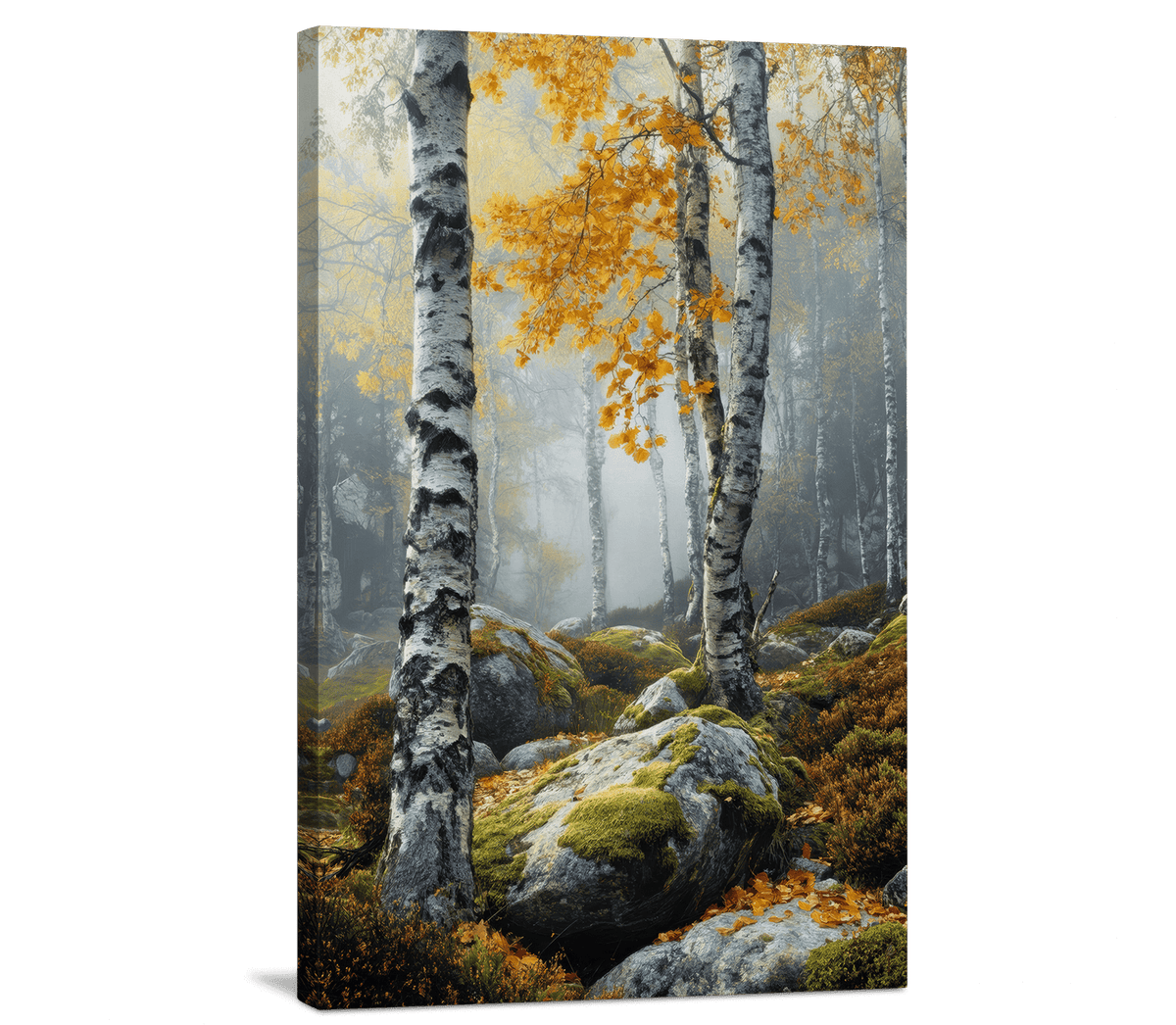 The Birch and Boulder Grove