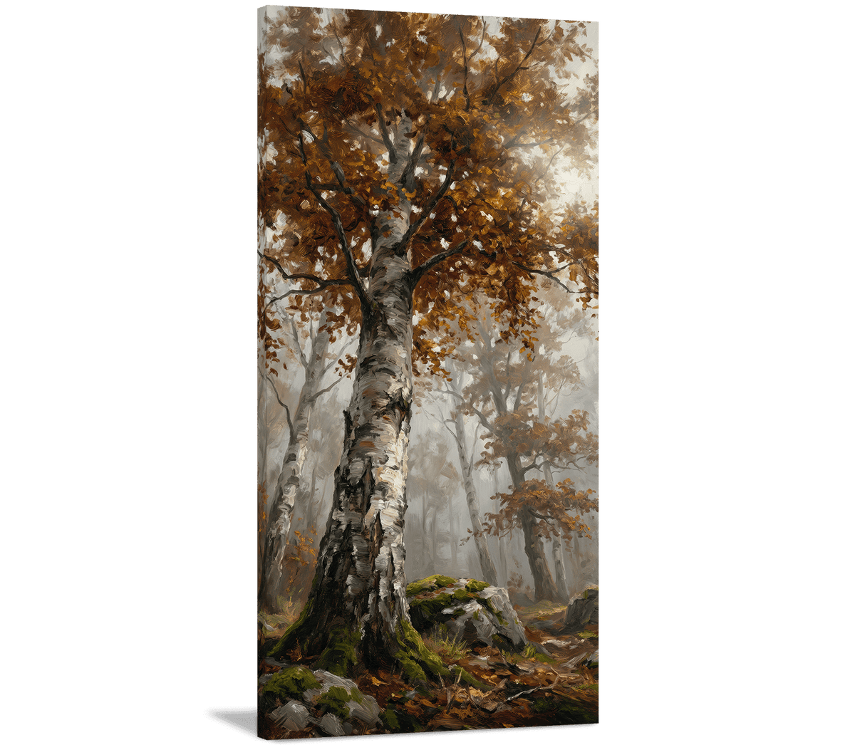 The Elder Birch