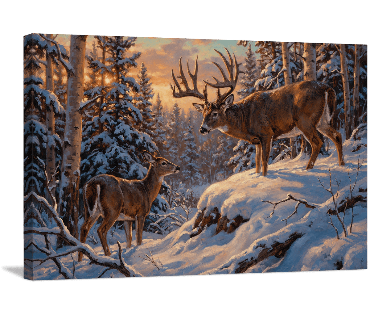 Sunrise Encounter in the Snow