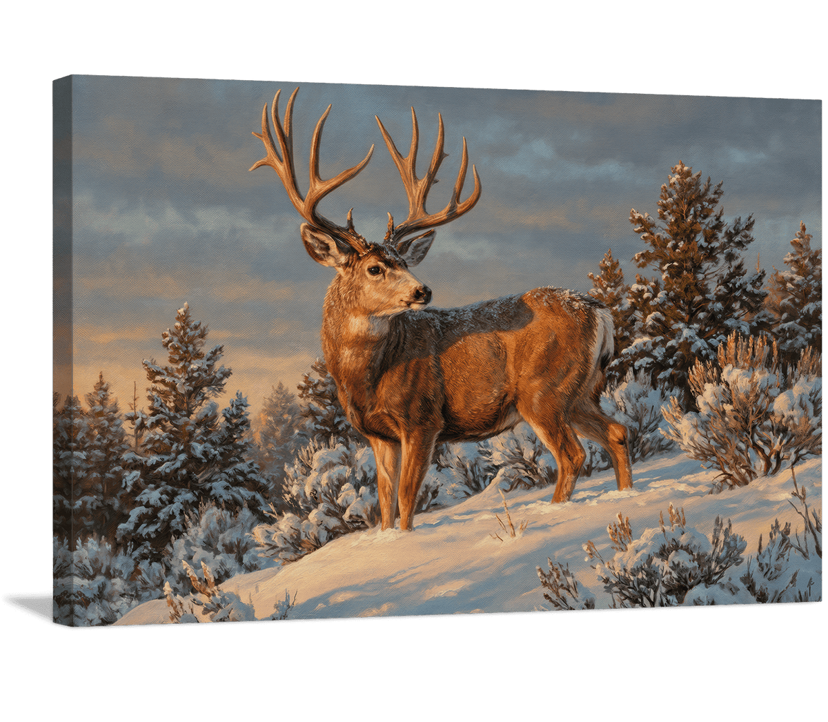 Lone Buck at Dawn