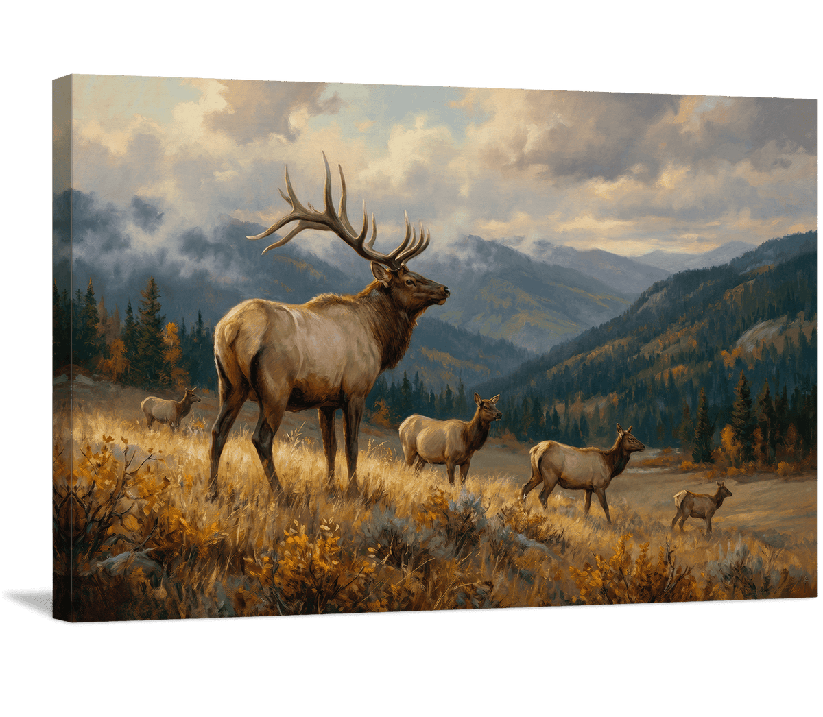 Overlook the Valley