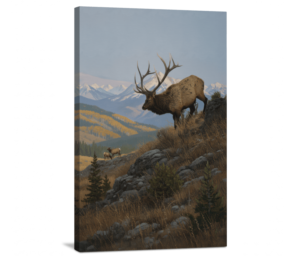 Ridge Top Majesty