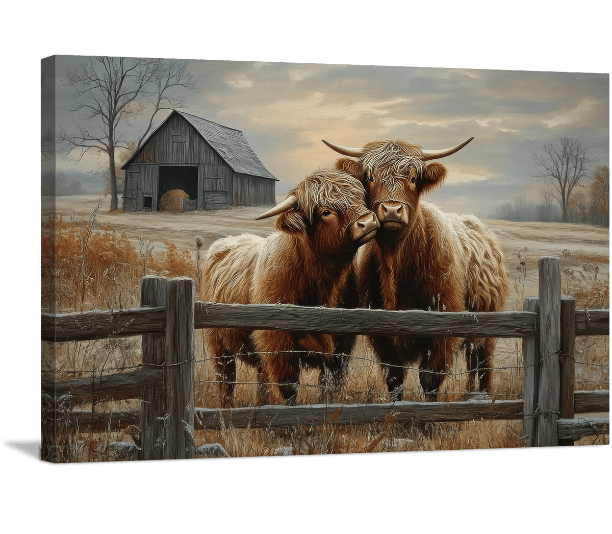 Farmstead Friends Highland Cows