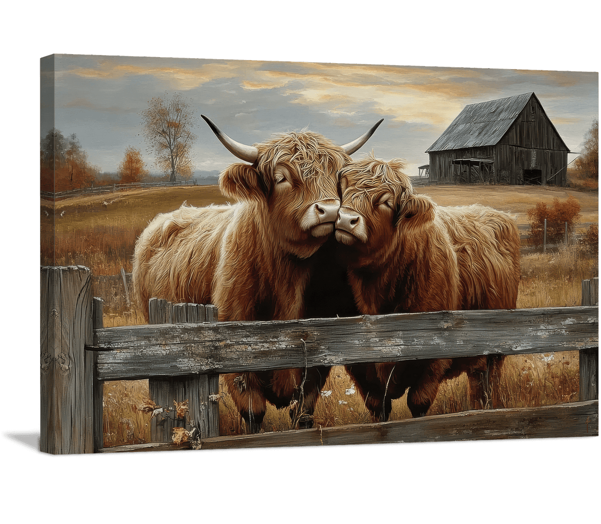 Highland Sweethearts Highland Cows