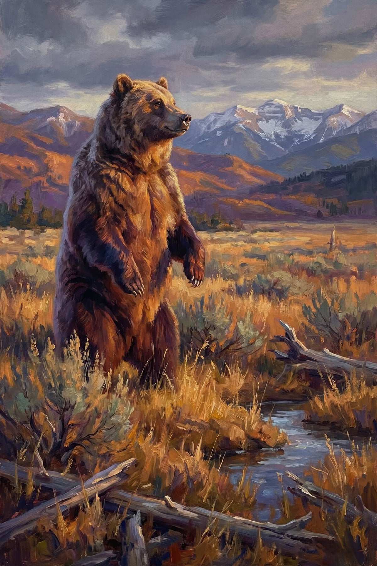 Grizzly in Evening Light