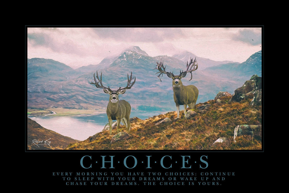 Choices Motivational