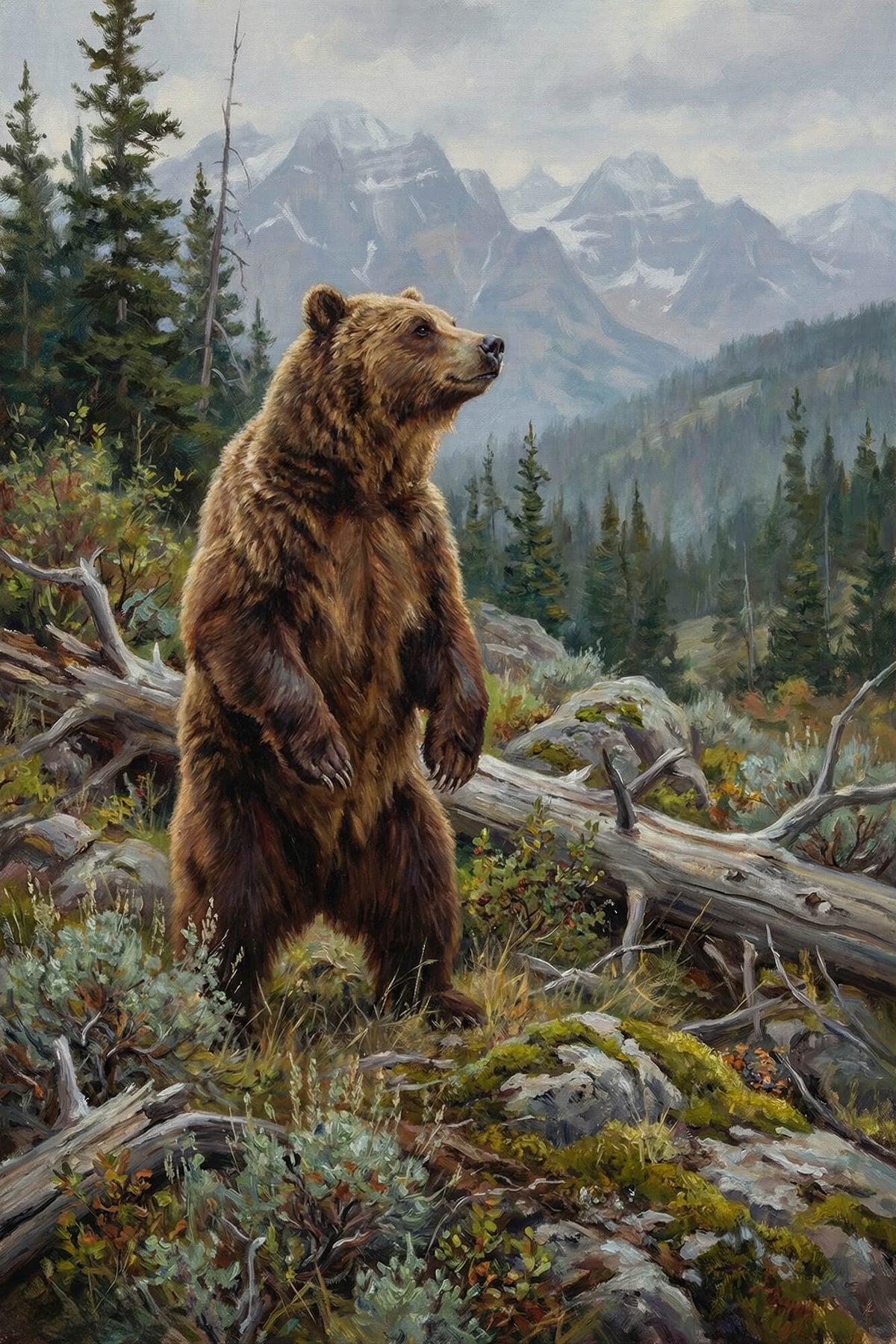 Grizzly Surveying the Range