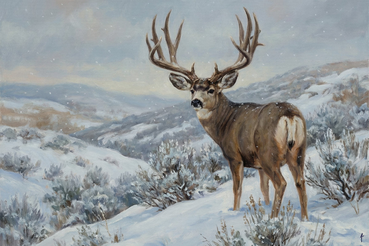 Snowfall Mule Deer on the Slope