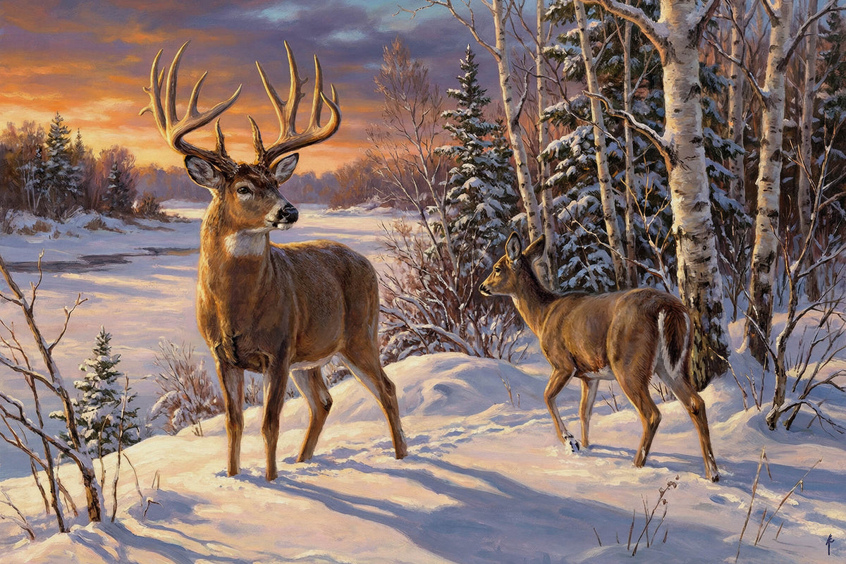 Dawn Companions in the Birch Grove