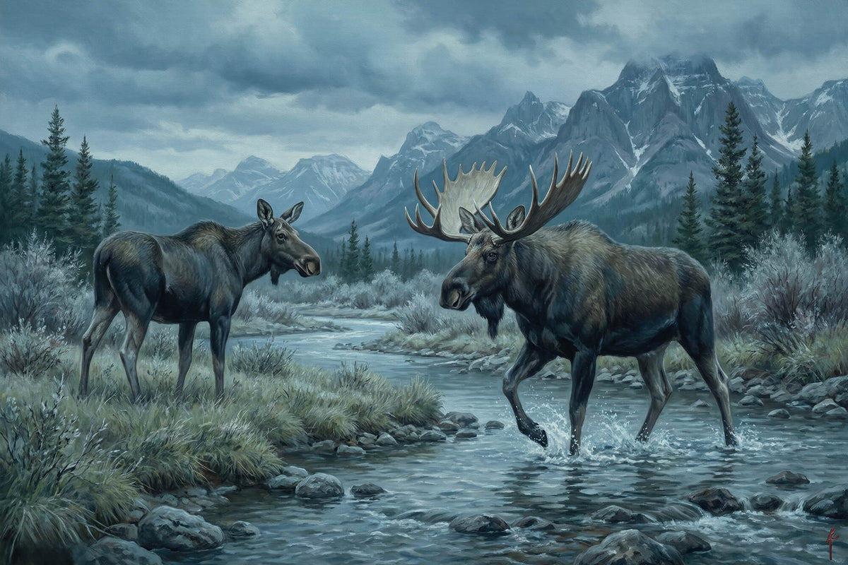 Cold River Courtship
