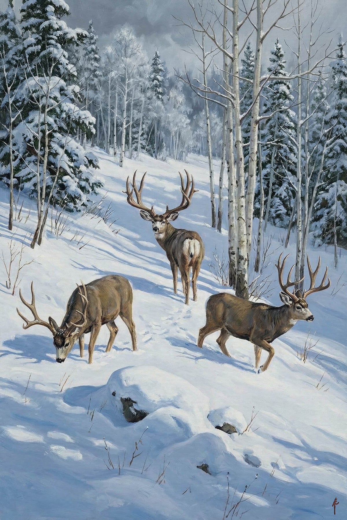 Winter Trail in the White Forest