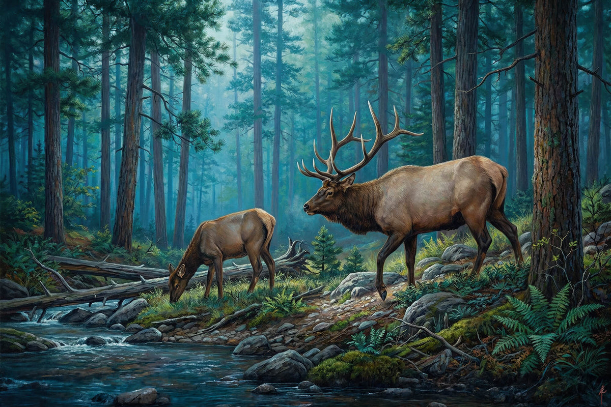 The Quiet Creek